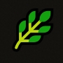 environment